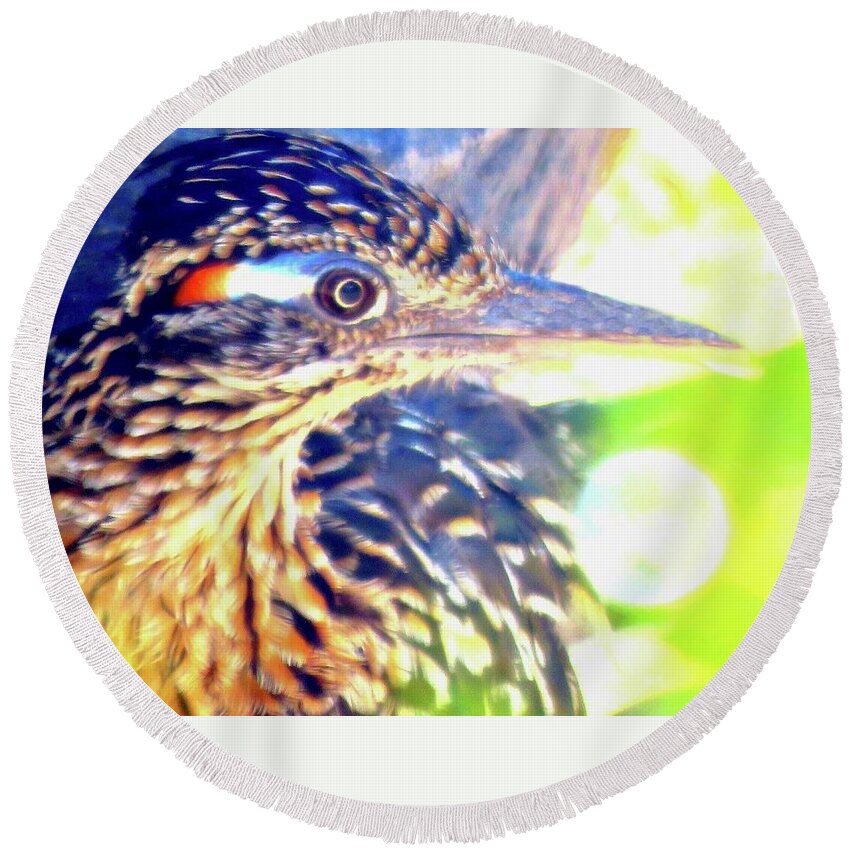 Arizona Round Beach Towel featuring the photograph Greater Roadrunner Portrait 2 by Judy Kennedy