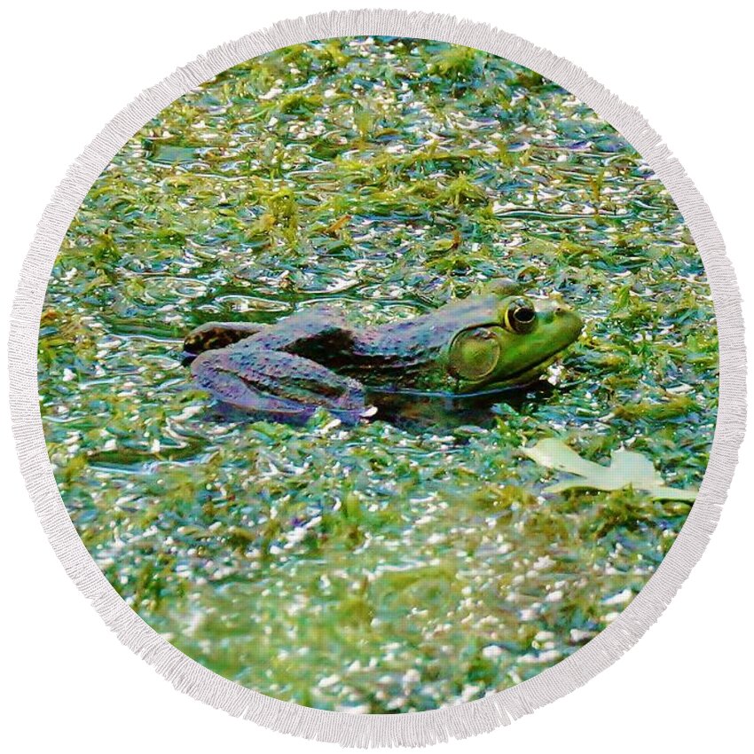 Frog Round Beach Towel featuring the photograph Green Frog by Beth Deitrick