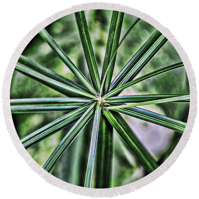 Abstract Round Beach Towel featuring the photograph Green Plant Abstract by Sharon McConnell
