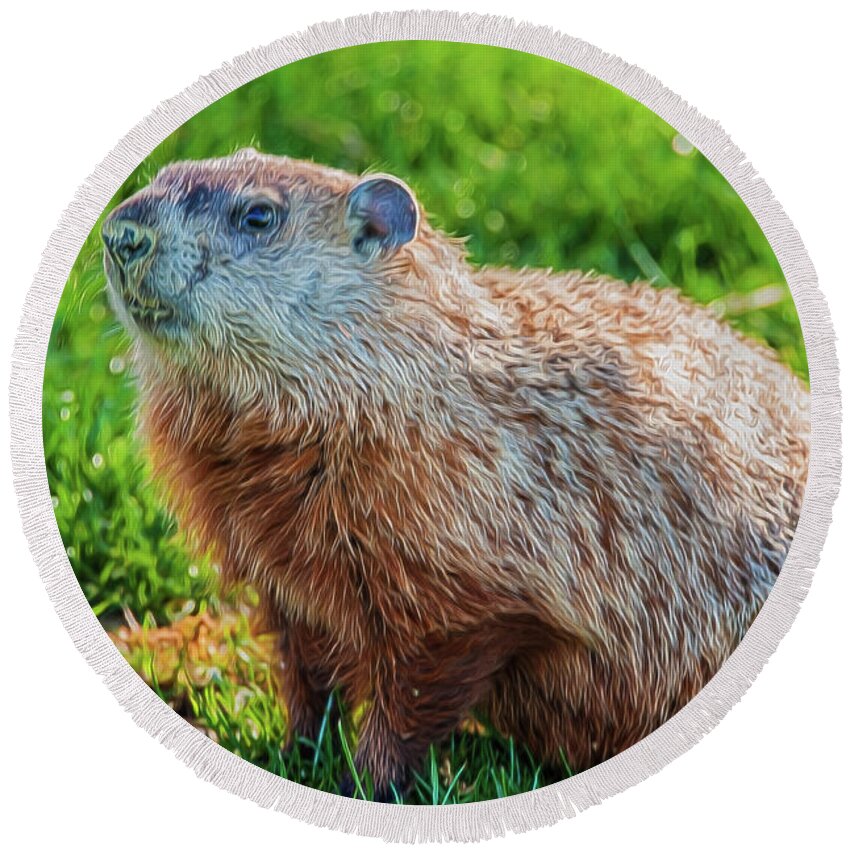Rodent Round Beach Towel featuring the photograph Ground Hog Portrait by Cathy Kovarik