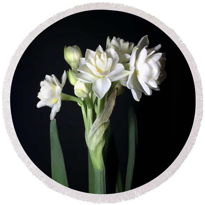 Photograph Round Beach Towel featuring the photograph Grow Tiny Paperwhites Narcissus Photograph by Delynn Addams by Delynn Addams