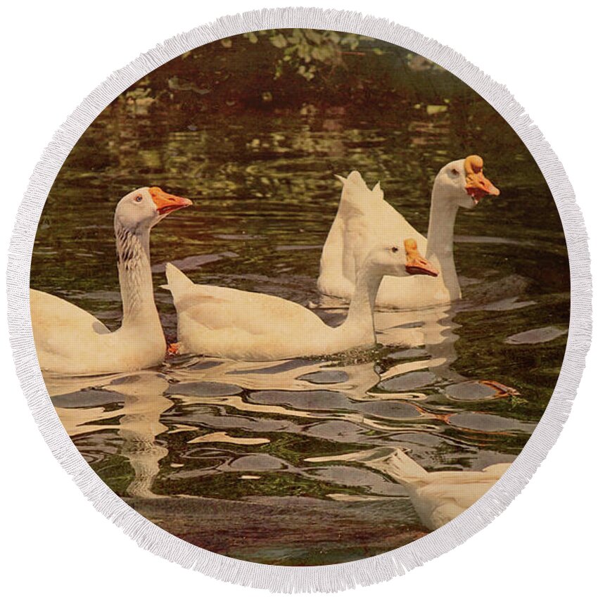 Chinese Geese Round Beach Towel featuring the digital art Grungy Chinese Geese by Bonnie Willis