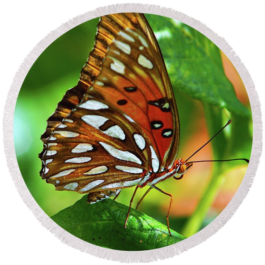 Butterfly Round Beach Towel featuring the photograph Gulf Fritillary by Larry Nieland