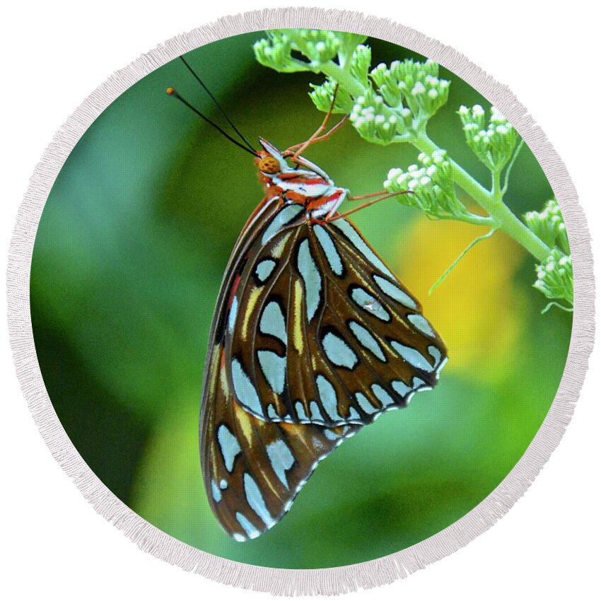 Butterfly Round Beach Towel featuring the photograph Gulf Fritillary on Butterfly Bush by Carol Bradley