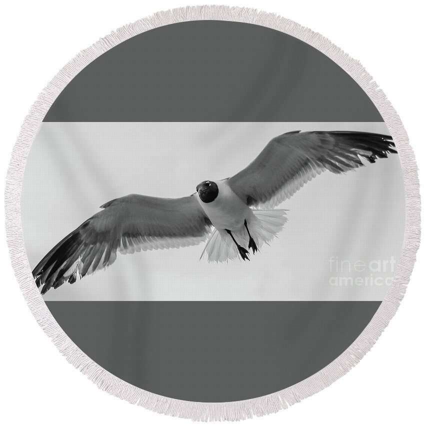 Seagull Round Beach Towel featuring the photograph Gull by Barry Bohn