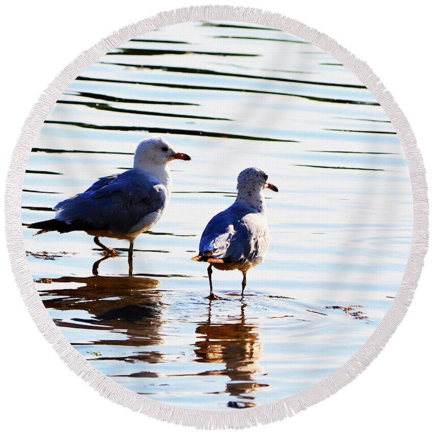 Beach Round Beach Towel featuring the photograph Gulls by Traci Cottingham