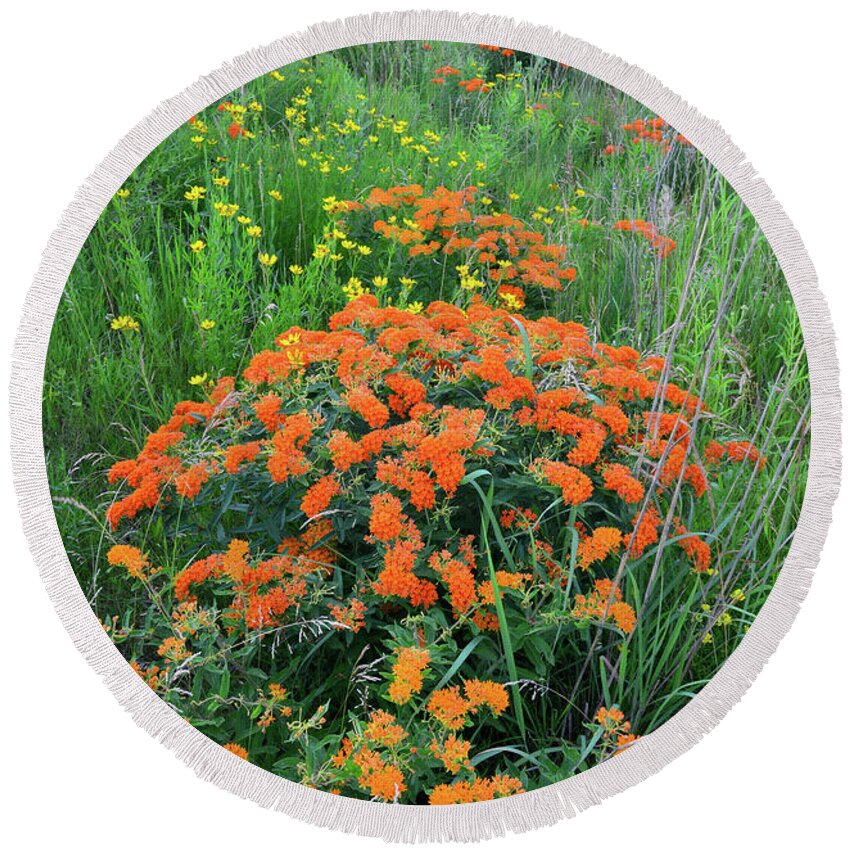 Illinois Round Beach Towel featuring the photograph Hackmatack NWR Butterfly Weed by Ray Mathis