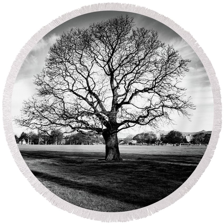 Tree Round Beach Towel featuring the photograph Hagley Tree Landscape by Roseanne Jones