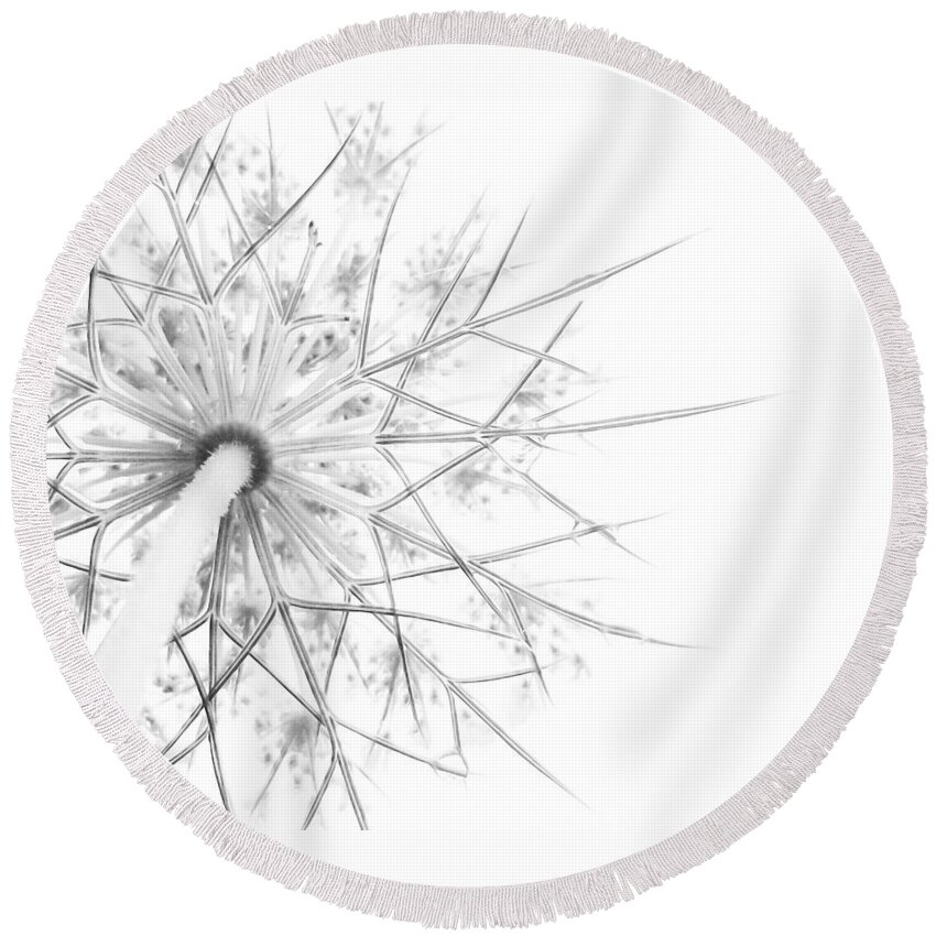 Queen Anne's Lace Round Beach Towel featuring the photograph Summer Snow by Holly Ross
