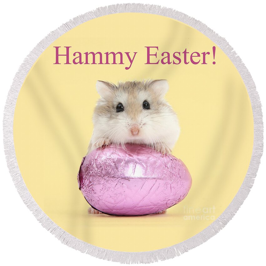 Roborovski Hamster Round Beach Towel featuring the photograph Hammy Easter by Warren Photographic