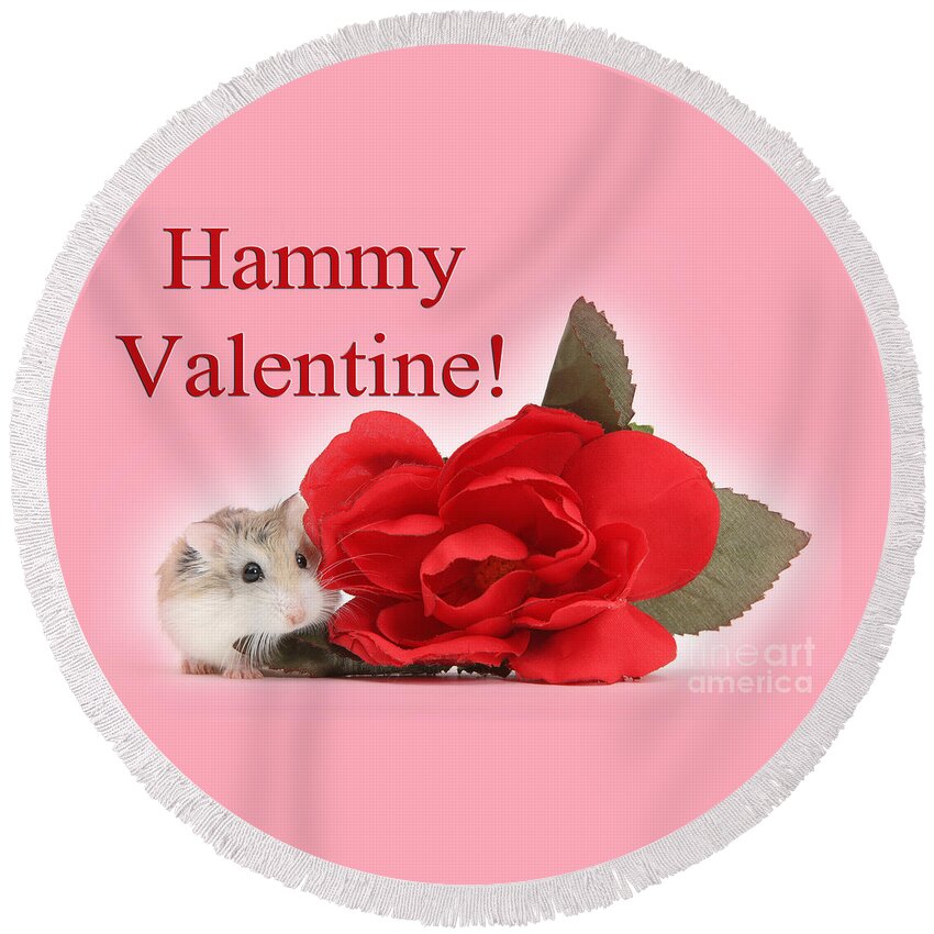 Roborovski Hamster Round Beach Towel featuring the photograph Hammy Valentine by Warren Photographic