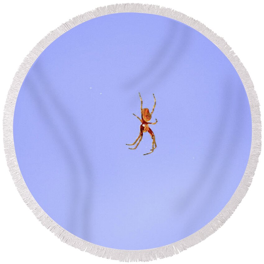 Spider Round Beach Towel featuring the photograph Hanging By A Thread by Mark Blauhoefer