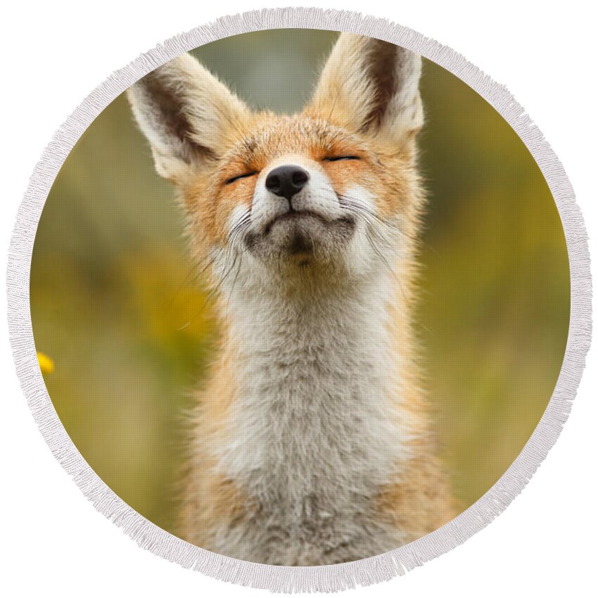 Red Fox Round Beach Towel featuring the photograph Happy Fox by Roeselien Raimond