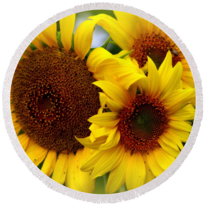 Nature Round Beach Towel featuring the photograph Happy Sunflowers by Kay Novy