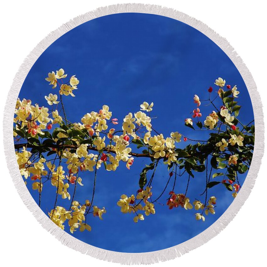 Cassia Round Beach Towel featuring the photograph Hawaii's Rainbow Shower Tree by Craig Wood