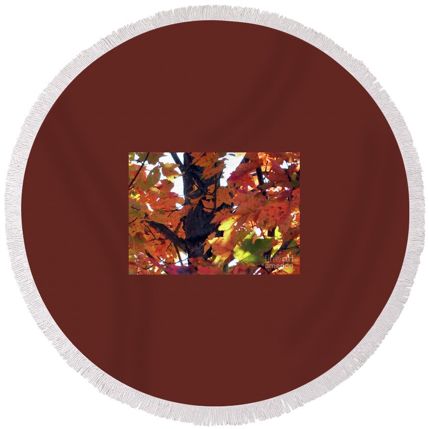 Tree Round Beach Towel featuring the photograph Headed For A Fall 4 by Lydia Holly