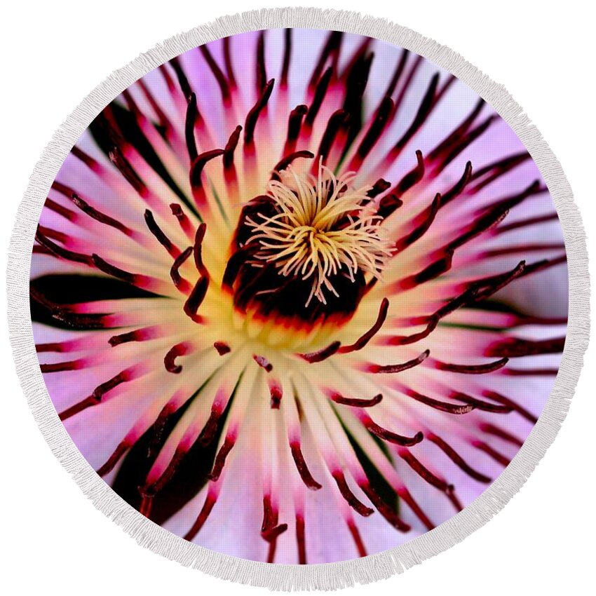 Nelly Moser Round Beach Towel featuring the photograph Heart of a Clematis by Baggieoldboy