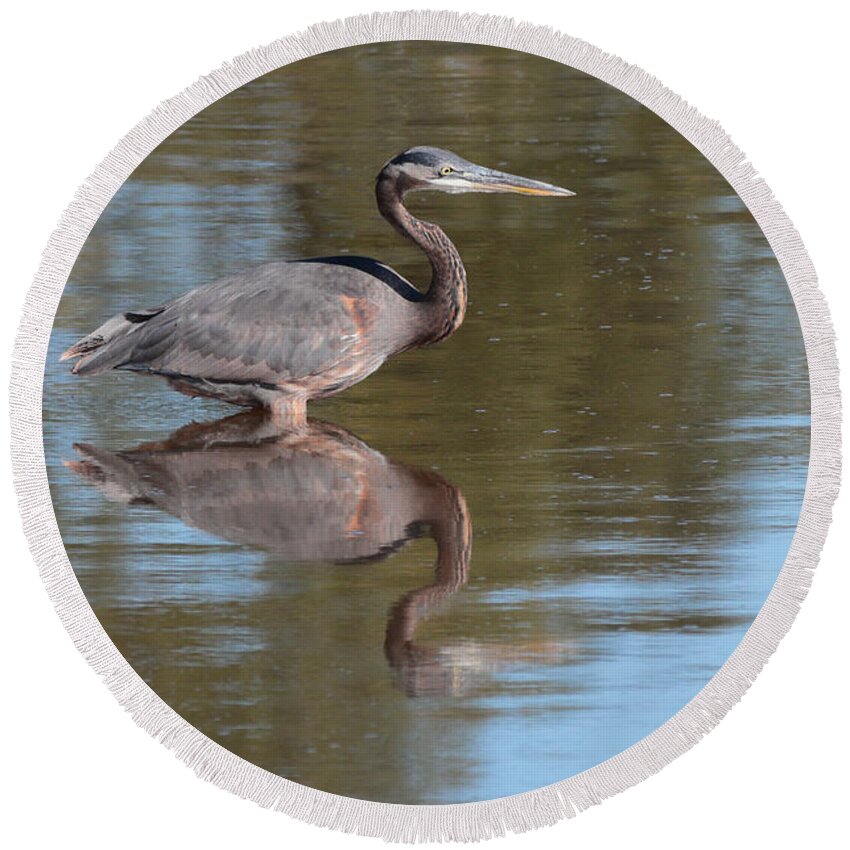 Heron Round Beach Towel featuring the photograph Heron by John Moyer
