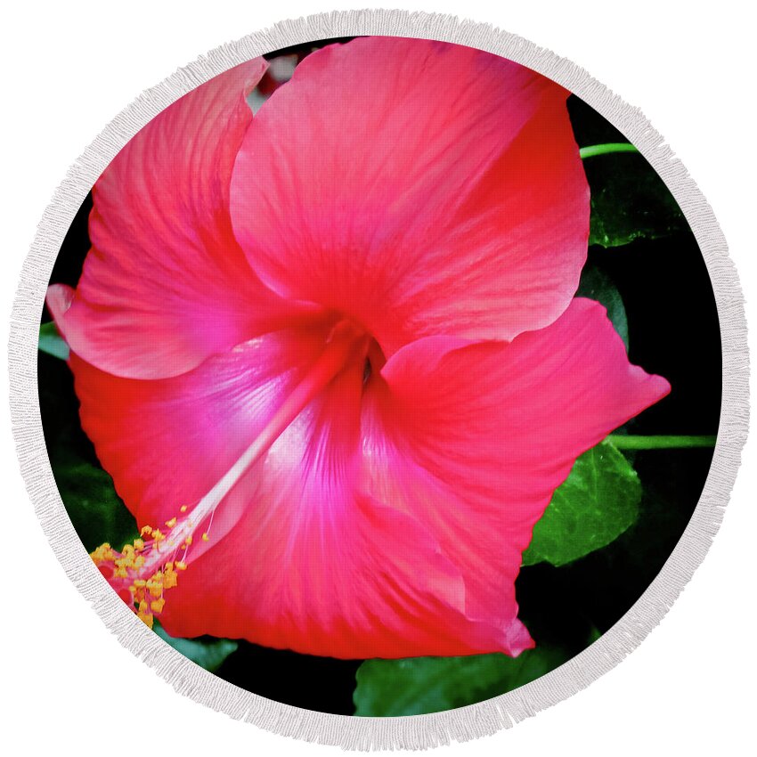 Pink Flower Round Beach Towel featuring the photograph Hibiscus Blossom by Tony Grider