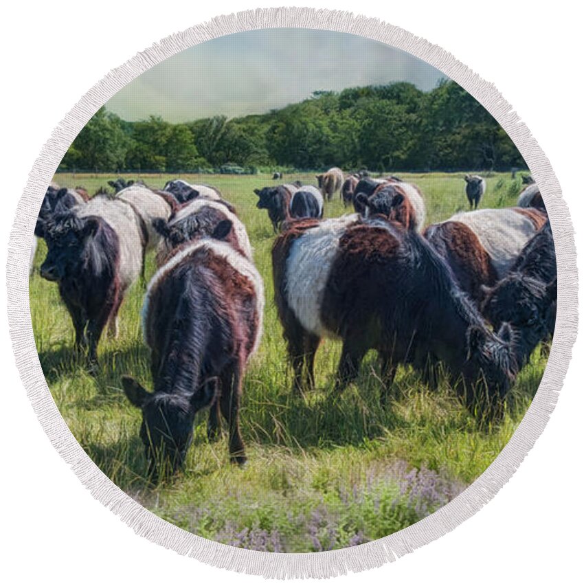 Belted Galloway Round Beach Towel featuring the photograph Milk And Cookies by Robin-Lee Vieira