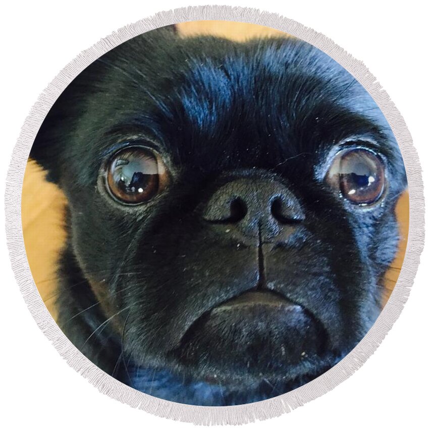 Pug Mix Round Beach Towel featuring the photograph Honestly by Paula Brown