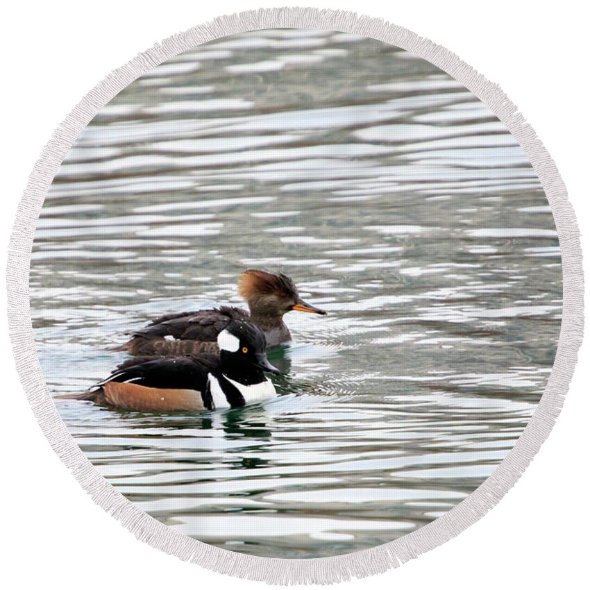 Gary Hall Round Beach Towel featuring the photograph Hooded Merganser Pair by Gary Hall