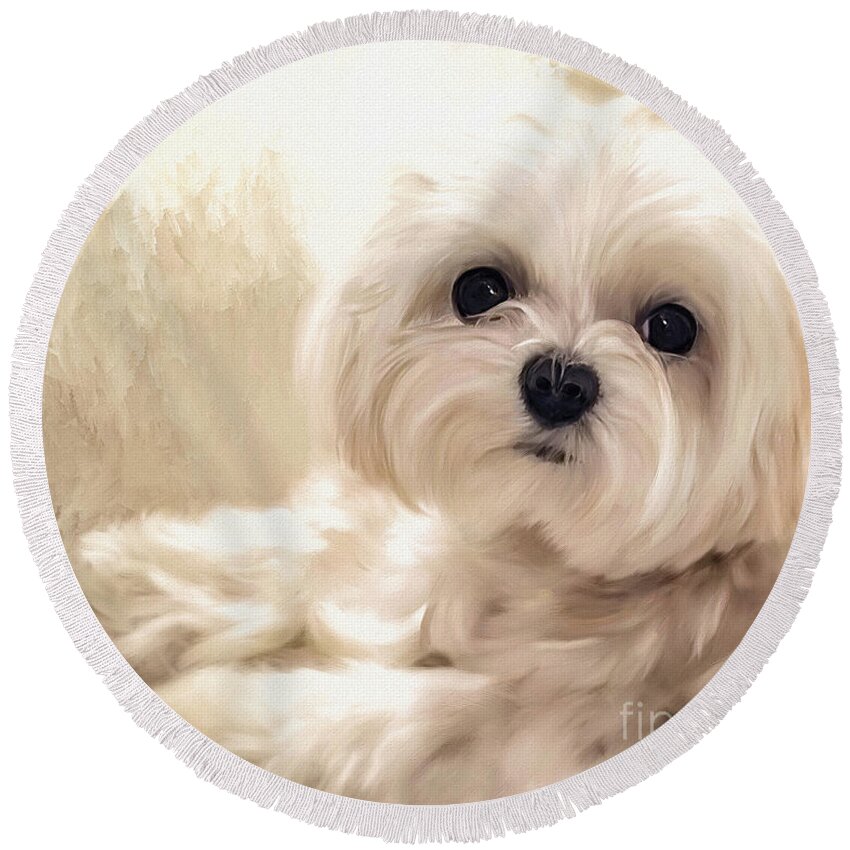Maltese Round Beach Towel featuring the digital art Hoping For A Cookie by Lois Bryan