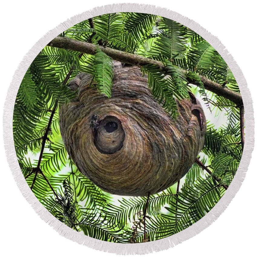 Hornets Round Beach Towel featuring the photograph Hornets Nest by Wendy McKennon