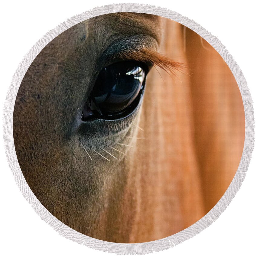 3scape Photos Round Beach Towel featuring the photograph Horse Eye by Adam Romanowicz