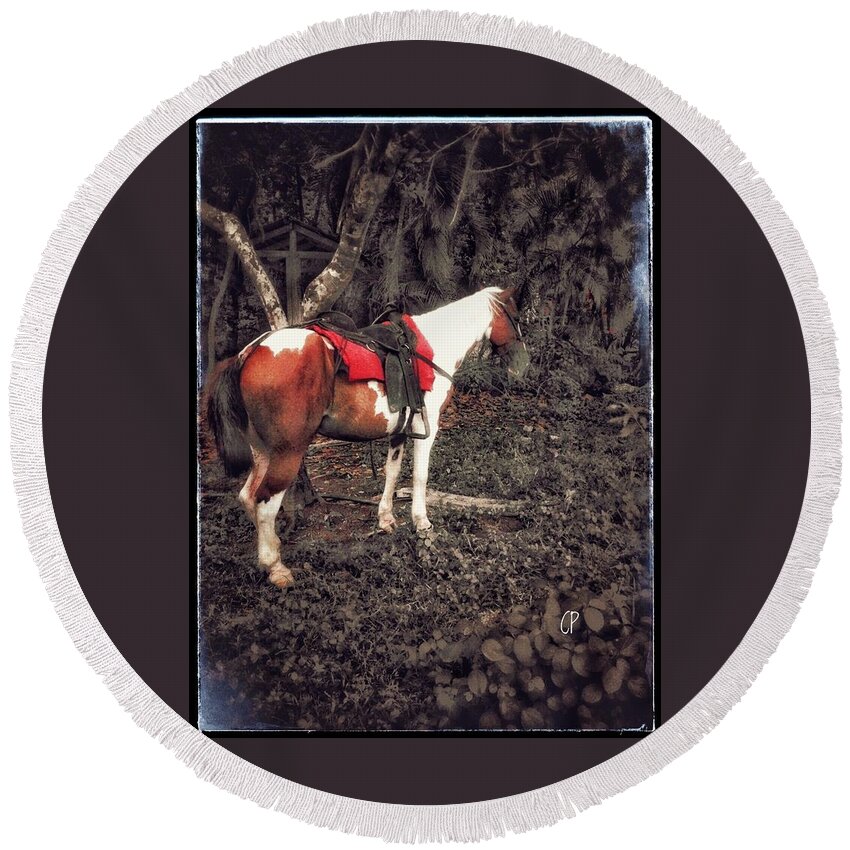 Landscape Round Beach Towel featuring the photograph Horse in Red by Christine Paris