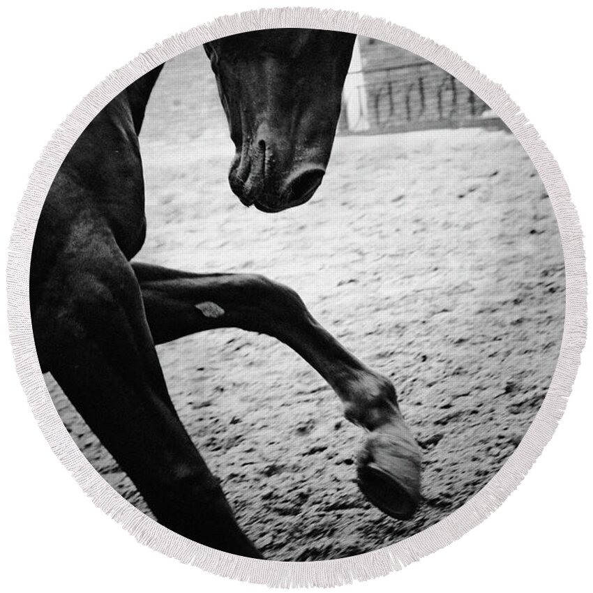 Horse Round Beach Towel featuring the photograph Horse monochrome emotions by Dimitar Hristov