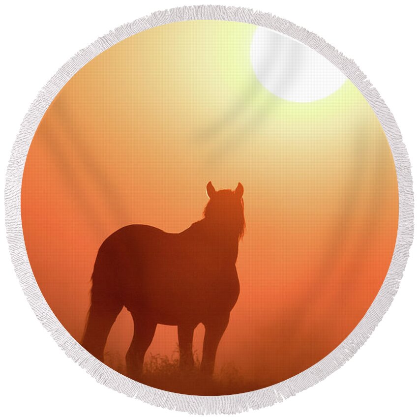 Silhouette Round Beach Towel featuring the photograph Horse Silhouette by Wesley Aston