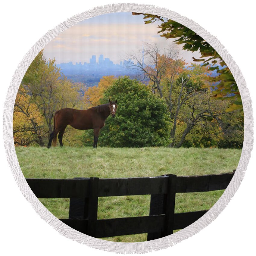 Gary Hall Round Beach Towel featuring the photograph Horse With A View by Gary Hall