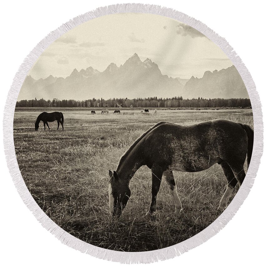Horse Round Beach Towel featuring the photograph Horses and Tetons by Max Waugh