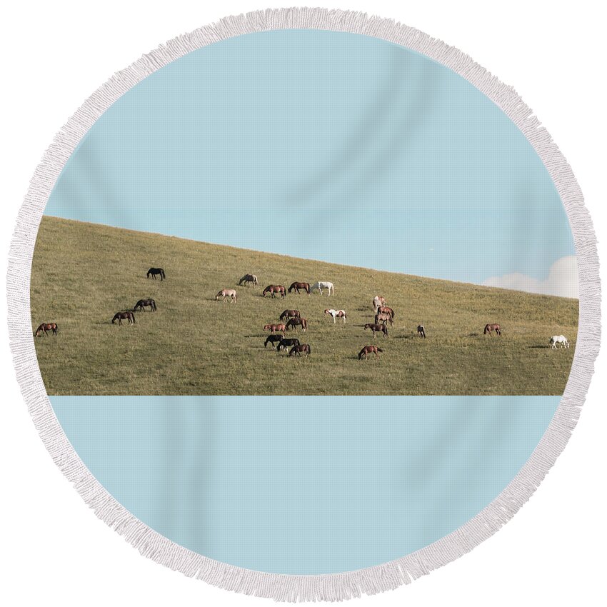 Horses Round Beach Towel featuring the photograph Horses On The Hill by D K Wall