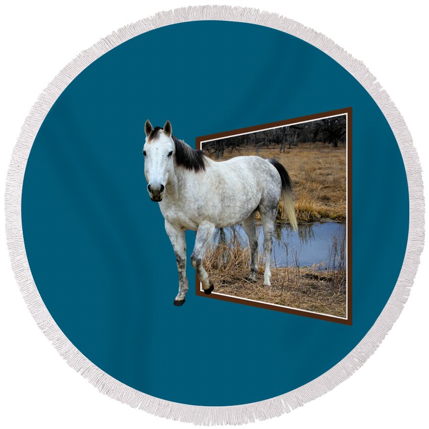 Horse Round Beach Towel featuring the photograph Horsing Around by Shane Bechler