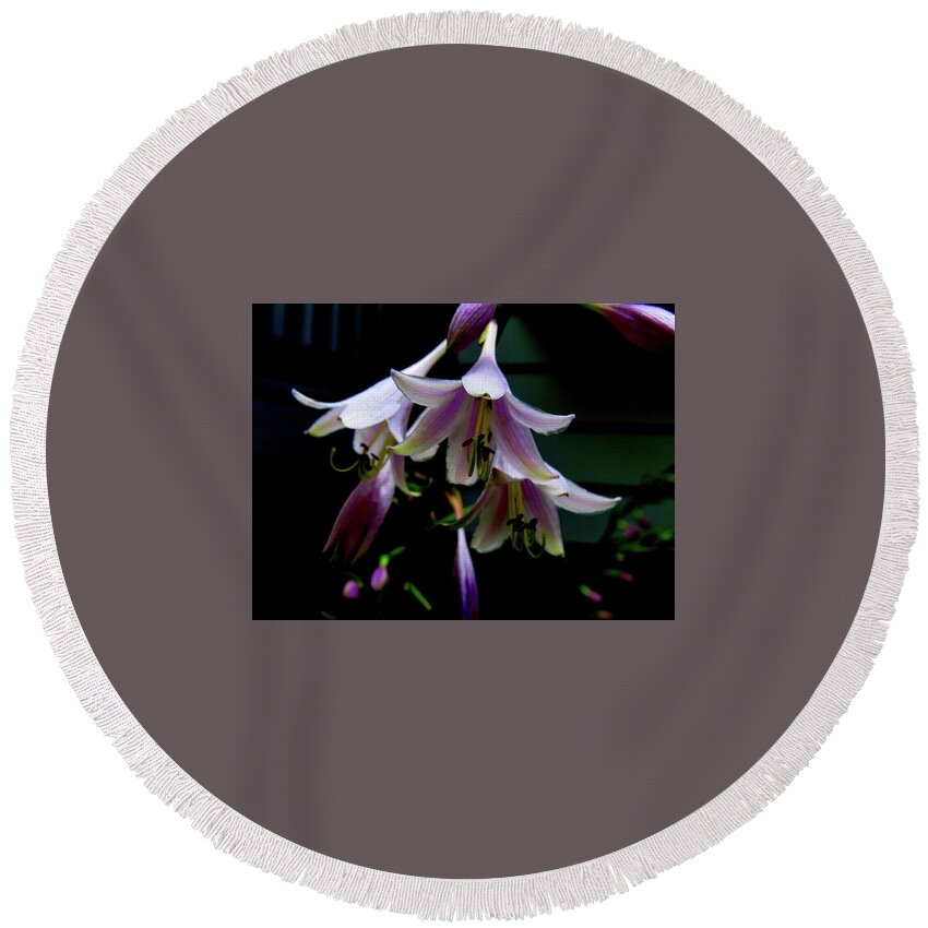 Purple Blossoms Round Beach Towel featuring the photograph Hostas Blossoms by Linda Stern