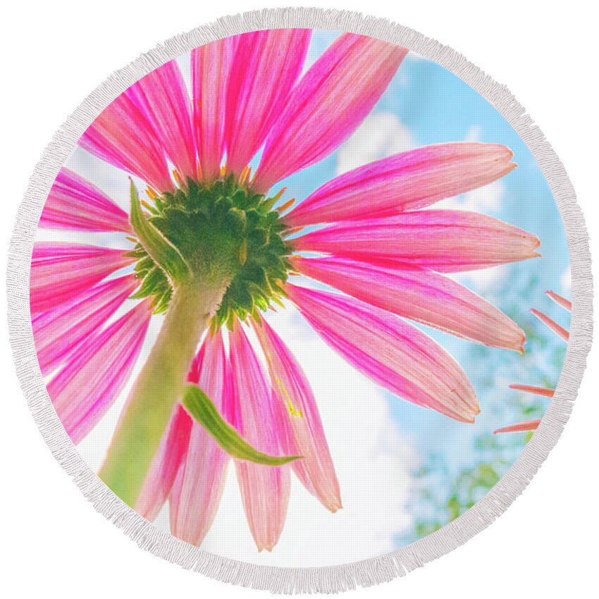 Flower Round Beach Towel featuring the photograph Hot Pink Summer Days by Becqi Sherman
