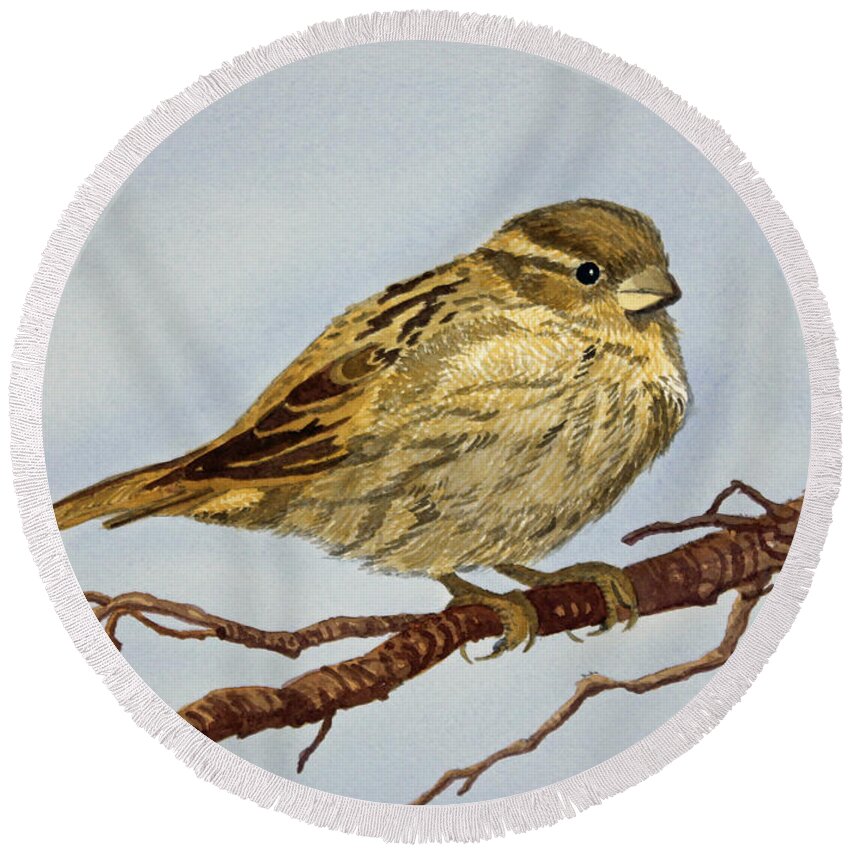 Sparrow Round Beach Towel featuring the painting House Sparrow by Norma Appleton