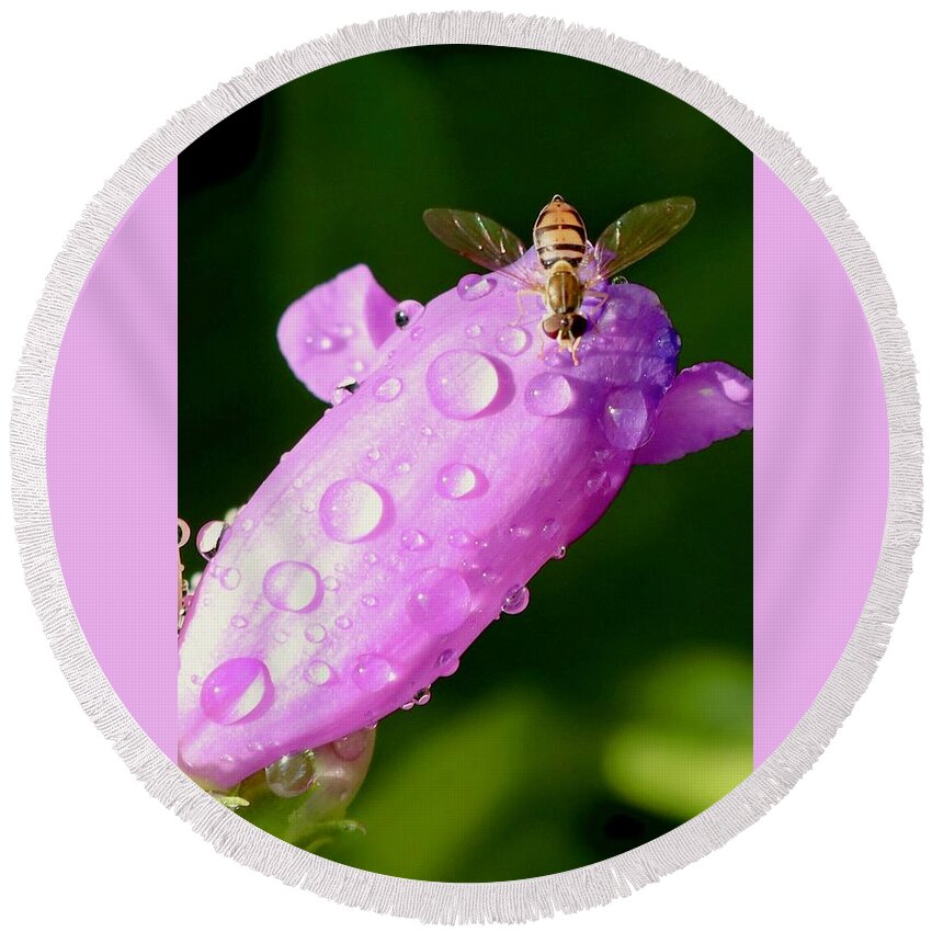 Hover Fly Round Beach Towel featuring the photograph Hoverfly on Pink Flower by Sarah Lilja
