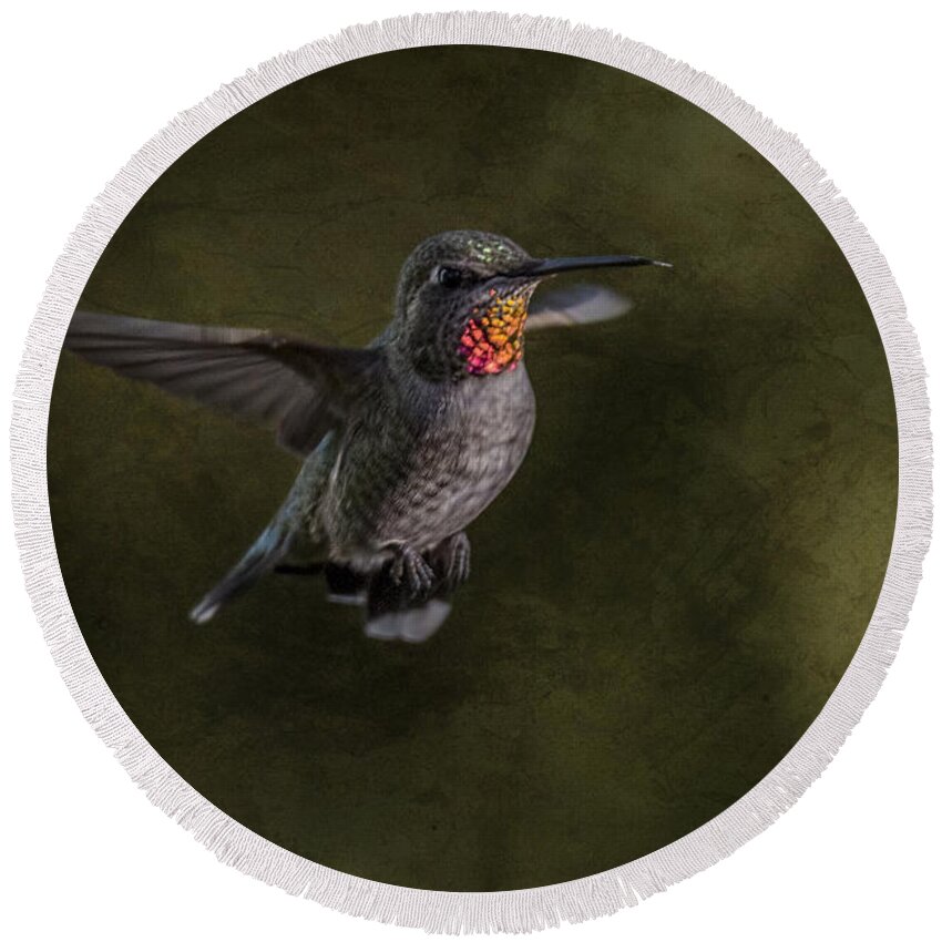 Anna's Hummingbird Round Beach Towel featuring the photograph Hovering Hummer by Randy Hall