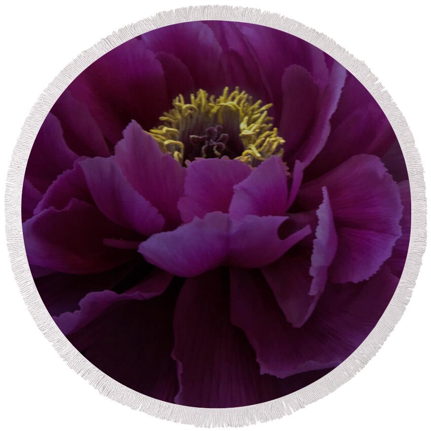 Flower Round Beach Towel featuring the photograph Huge Magenta Peony by Chris Lord