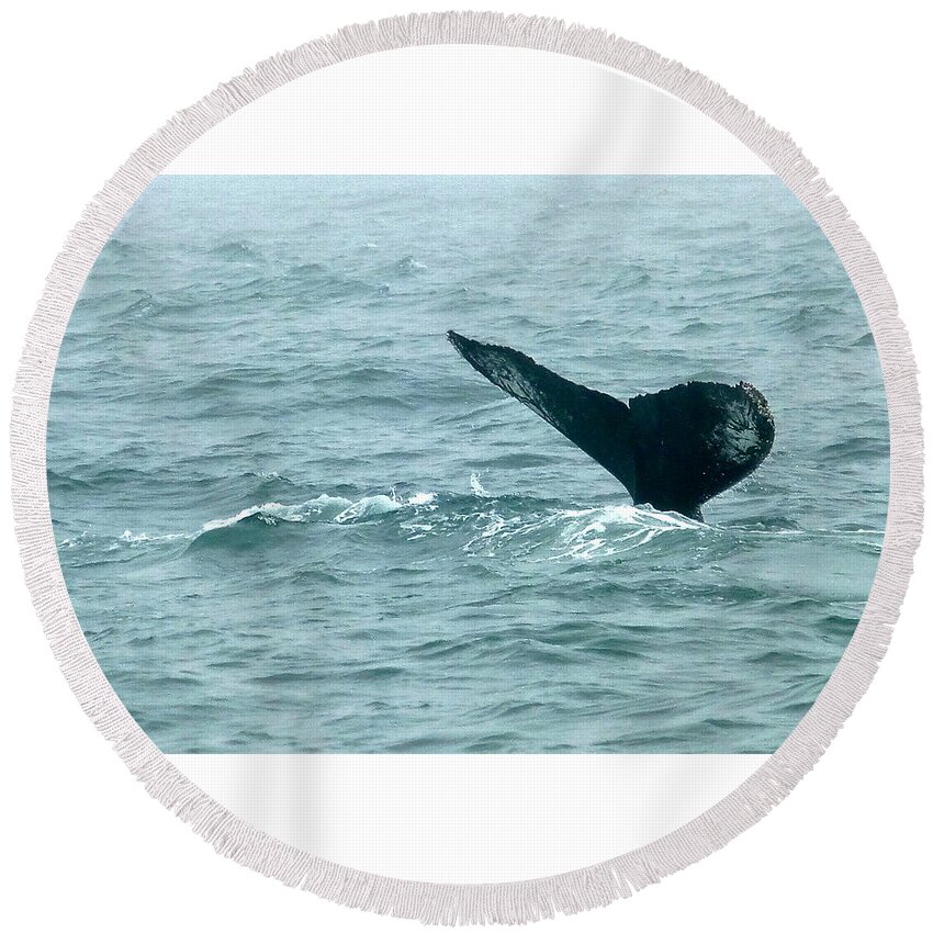 Humpback Whales Round Beach Towel featuring the photograph Humpback Patterned Flukes by Amelia Racca