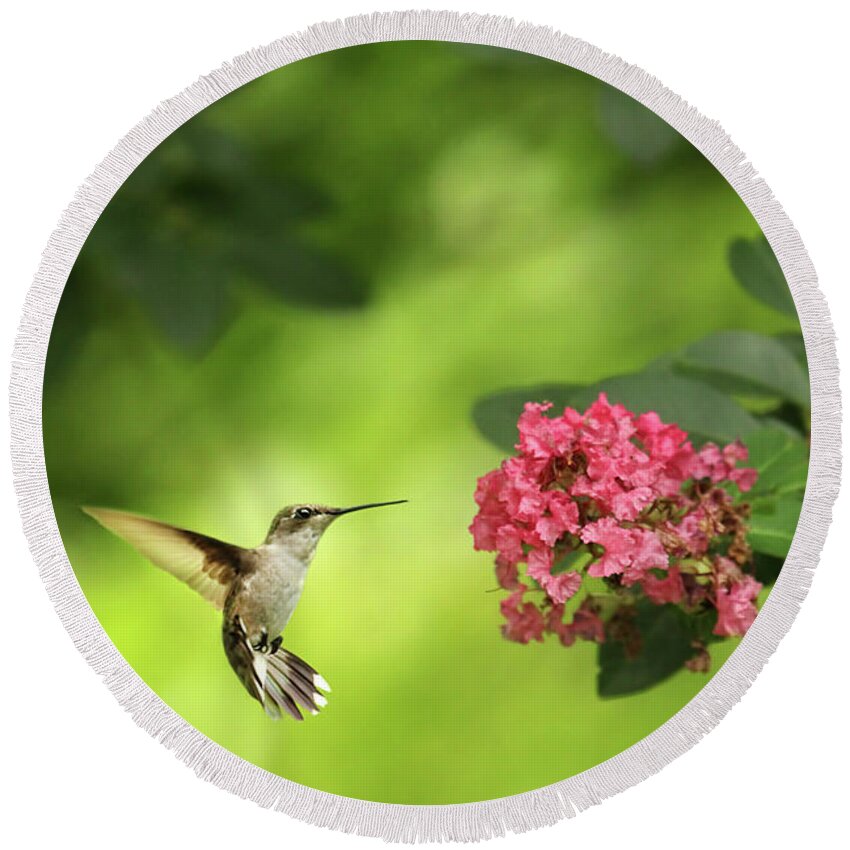 Crepe Myrtle Round Beach Towel featuring the photograph Hummer in Flight by Darren Fisher