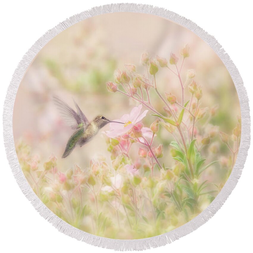 Hummingbird Round Beach Towel featuring the photograph Hummingbird in Anemone Garden Springtime by Susan Gary