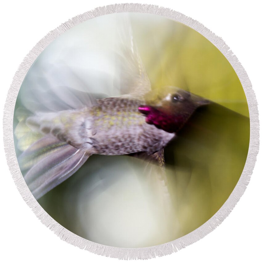 Hummingbird Round Beach Towel featuring the photograph Hummingbird in flight by Shawn Jeffries