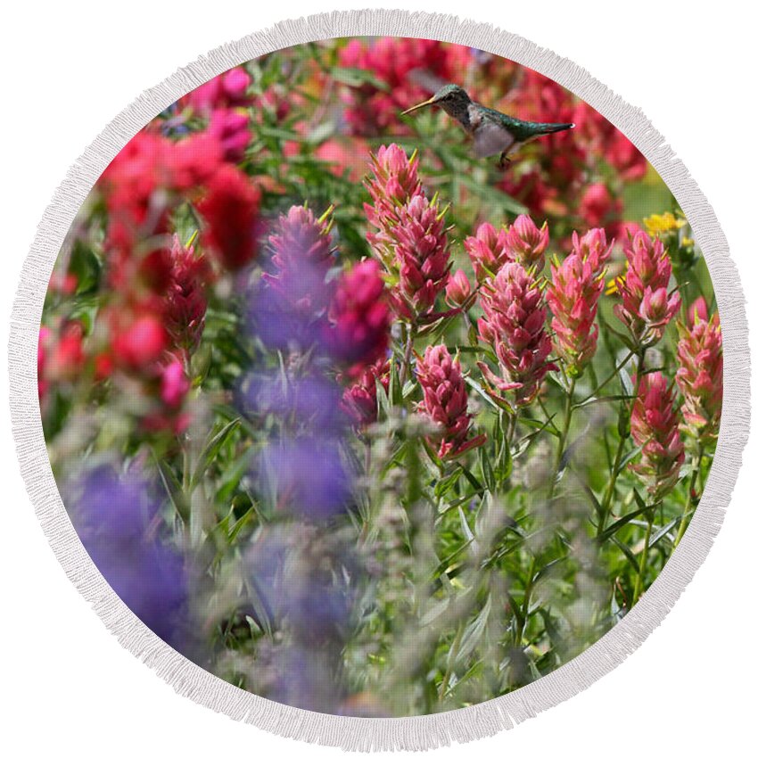 Wildflower Round Beach Towel featuring the photograph Hummingbird with Wildflowers by Brett Pelletier
