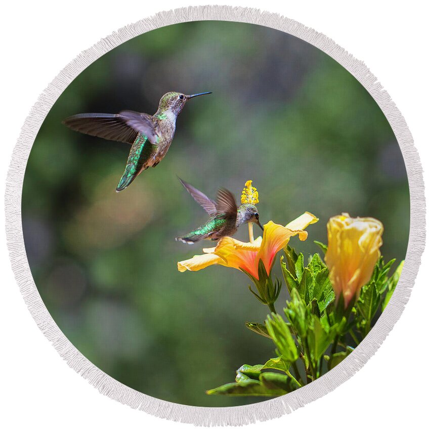 Hummingbirds Round Beach Towel featuring the photograph Hummingbirds by Mimi Ditchie