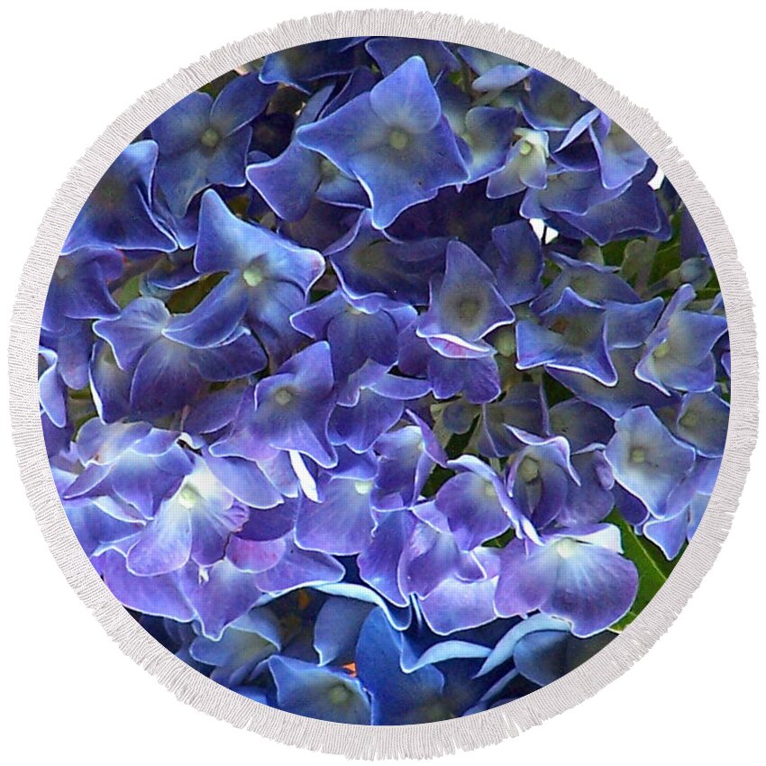 Hyacinth Round Beach Towel featuring the photograph Hyacinth by Steven Huszar