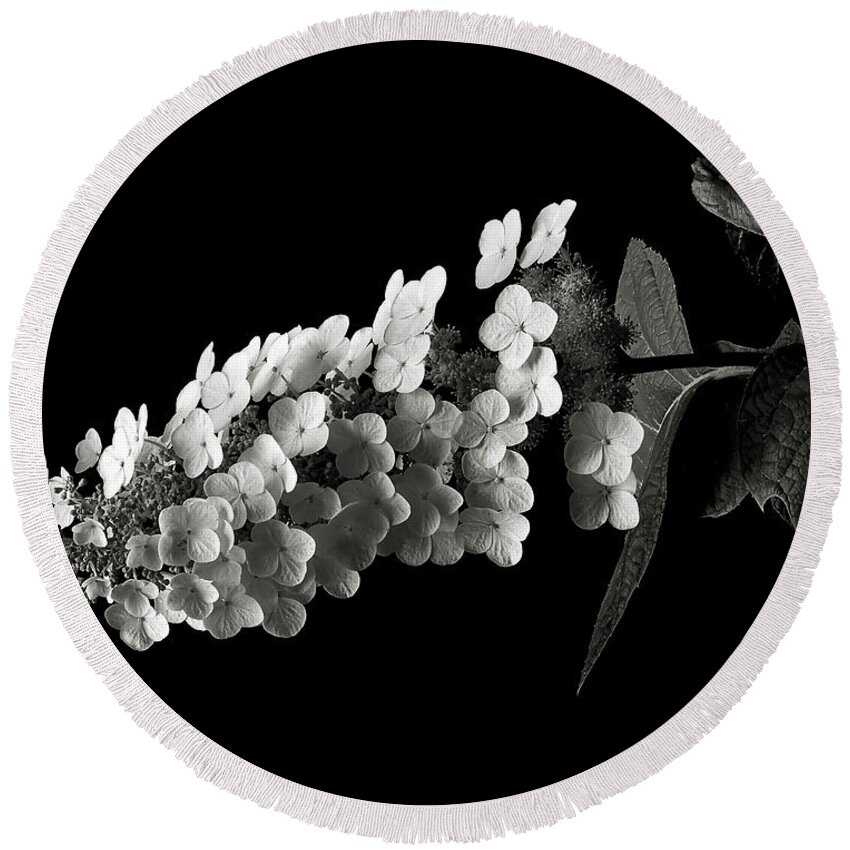 Flower Round Beach Towel featuring the photograph Hydrangea in Black and White by Endre Balogh